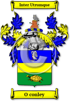 O conley Family Crest Download (jpg) Legacy Series - 150 DPI